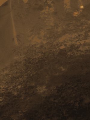 Thermal frame at 19:20, +8.6 degrees above the background.