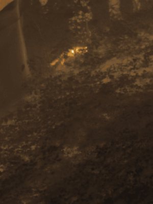 Thermal frame at 20:12, +4.9 degrees above the background.