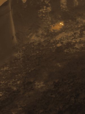 Thermal frame at 20:12, +13.2 degrees above the background.