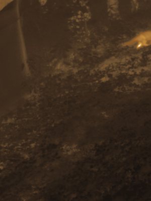 Thermal frame at 20:12, +8.3 degrees above the background.