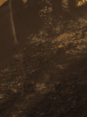 Thermal frame at 21:37, +3.7 degrees above the background.