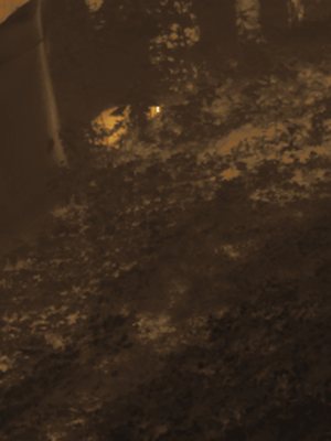 Thermal frame at 21:56, +5.1 degrees above the background.