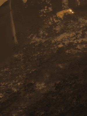 Thermal frame at 21:56, +8.9 degrees above the background.
