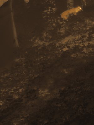 Thermal frame at 21:56, +10.4 degrees above the background.