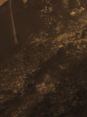 Thermal frame at 01:01, +4.8 degrees above the background.
